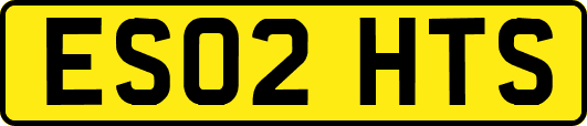 ES02HTS