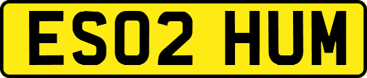 ES02HUM