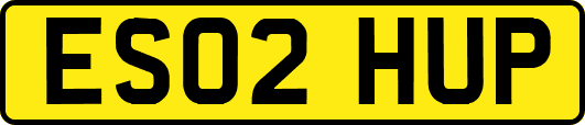 ES02HUP