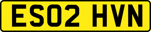 ES02HVN