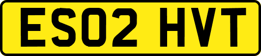 ES02HVT