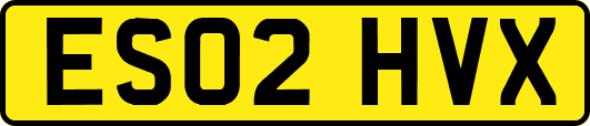ES02HVX