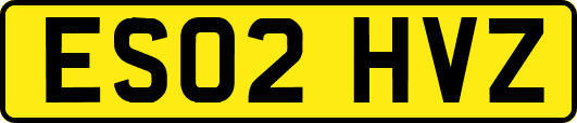 ES02HVZ