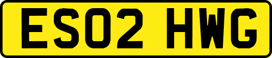 ES02HWG