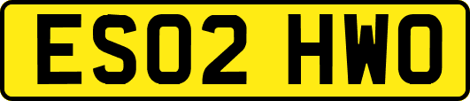 ES02HWO