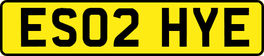 ES02HYE