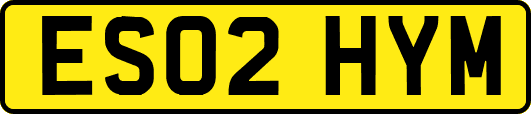 ES02HYM