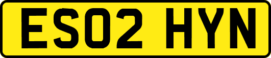 ES02HYN