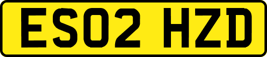 ES02HZD
