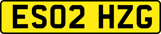 ES02HZG