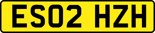 ES02HZH