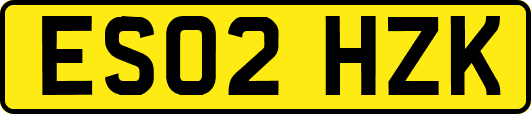 ES02HZK