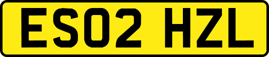 ES02HZL