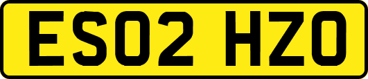 ES02HZO