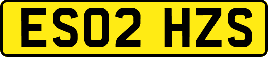 ES02HZS