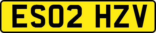 ES02HZV