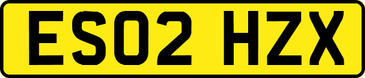 ES02HZX