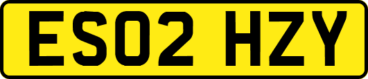 ES02HZY