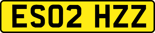 ES02HZZ