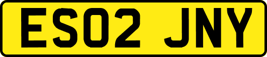 ES02JNY