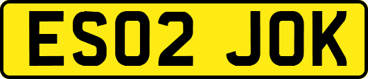 ES02JOK