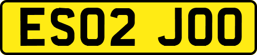 ES02JOO