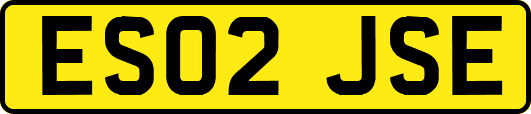ES02JSE