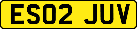 ES02JUV
