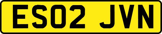 ES02JVN