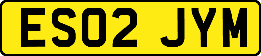 ES02JYM