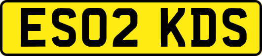 ES02KDS