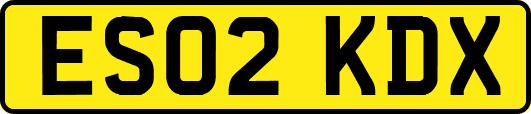ES02KDX