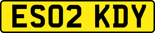 ES02KDY