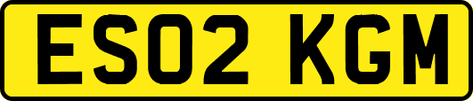 ES02KGM