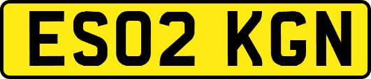 ES02KGN