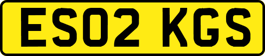 ES02KGS