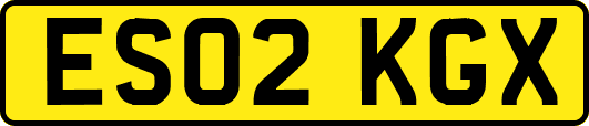 ES02KGX