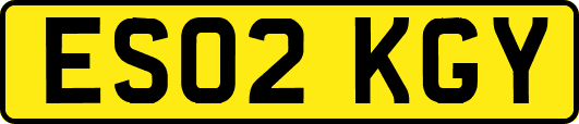 ES02KGY