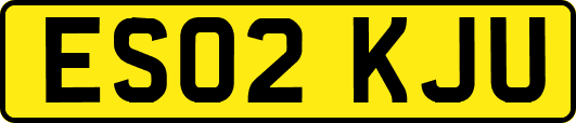 ES02KJU