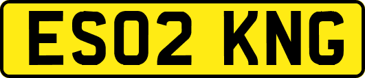 ES02KNG