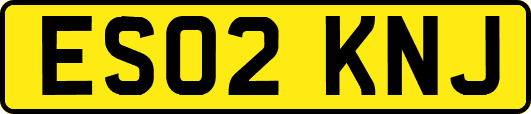 ES02KNJ