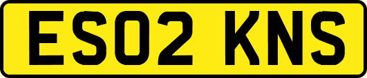 ES02KNS
