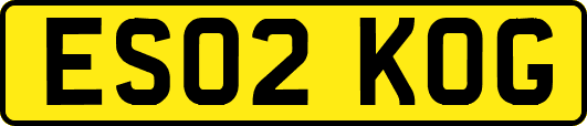 ES02KOG