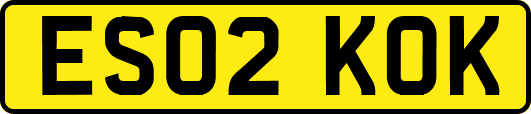 ES02KOK