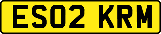 ES02KRM