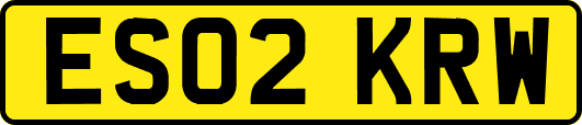ES02KRW