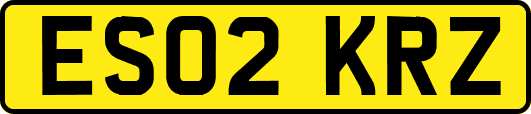 ES02KRZ