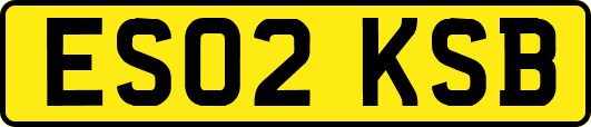 ES02KSB