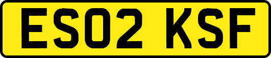 ES02KSF