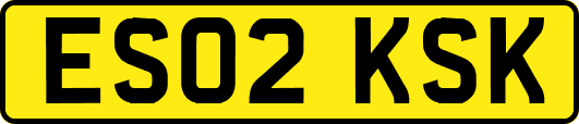 ES02KSK